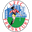 FFC Frankfurt Logo